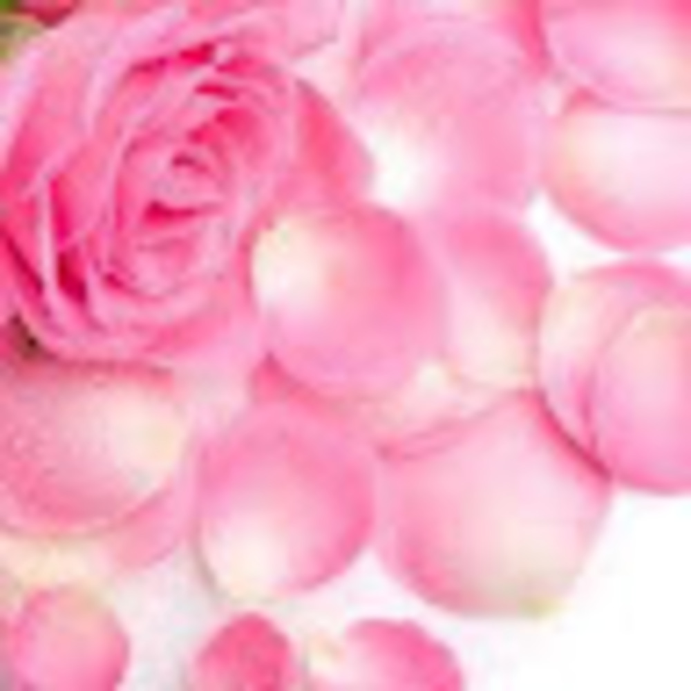 Meet your Posher, Rose